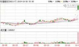 东港股份最新爆料,揭秘企业转型背后的战略布局